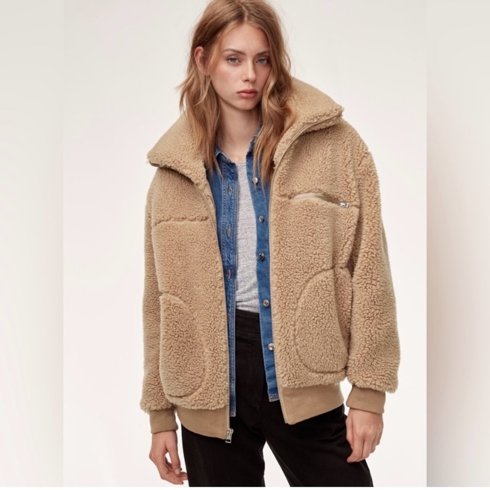 Aritzia Teddy Jacket (Sherpa jacket)